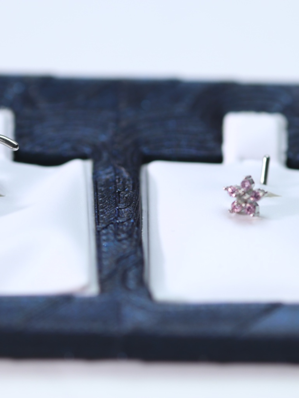 TWO nose Piercing ready with Display Included New